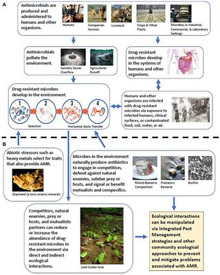 Bringing Community Ecology to Bear on the Issue of Antimicrobial Resistance